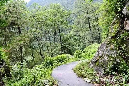 逃出美丽度假胜地